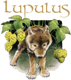Lupulus