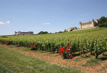 Bourgogne