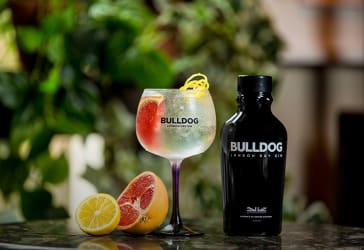 Bulldog