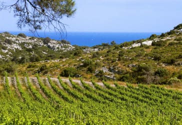 Languedoc-Roussillon