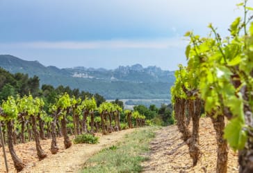 Rhônevallei
