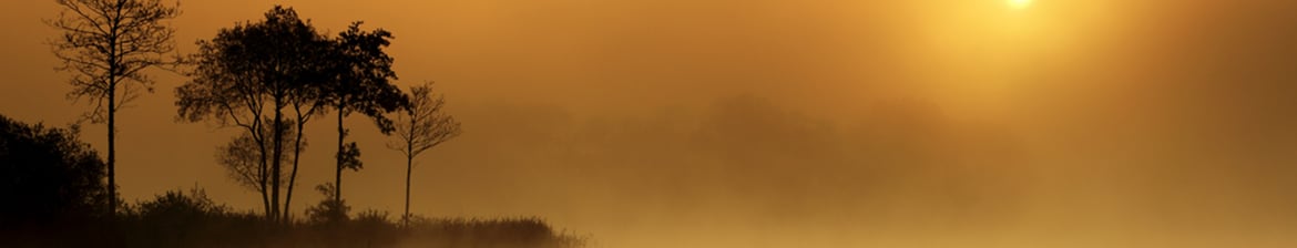 Islay Mist