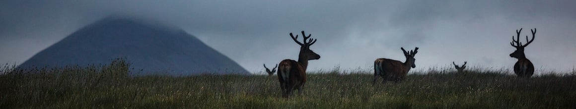 Jura