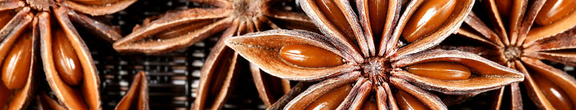 Molinari