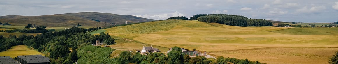 Tamdhu