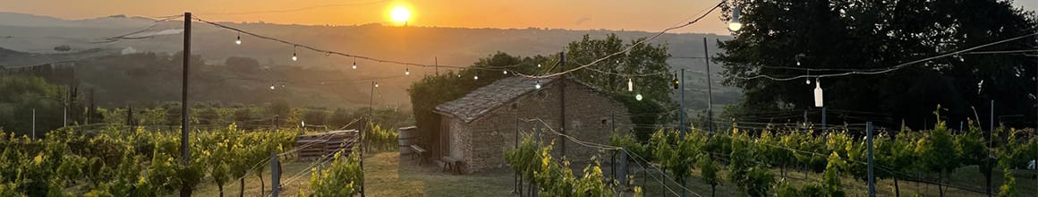 Tenuta Ferrante
