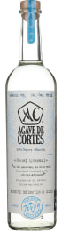 Agave de Cortes Joven